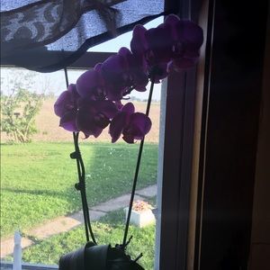 Meet your Posher, Teri