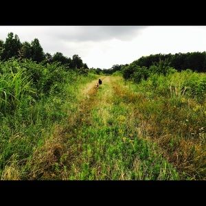 All girl's clothes and shoes going on sale!