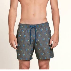 Hollister Guard Fit Swim Trunks