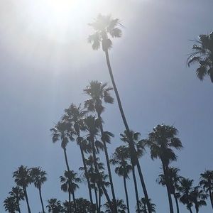 Meet your Posher, Tori