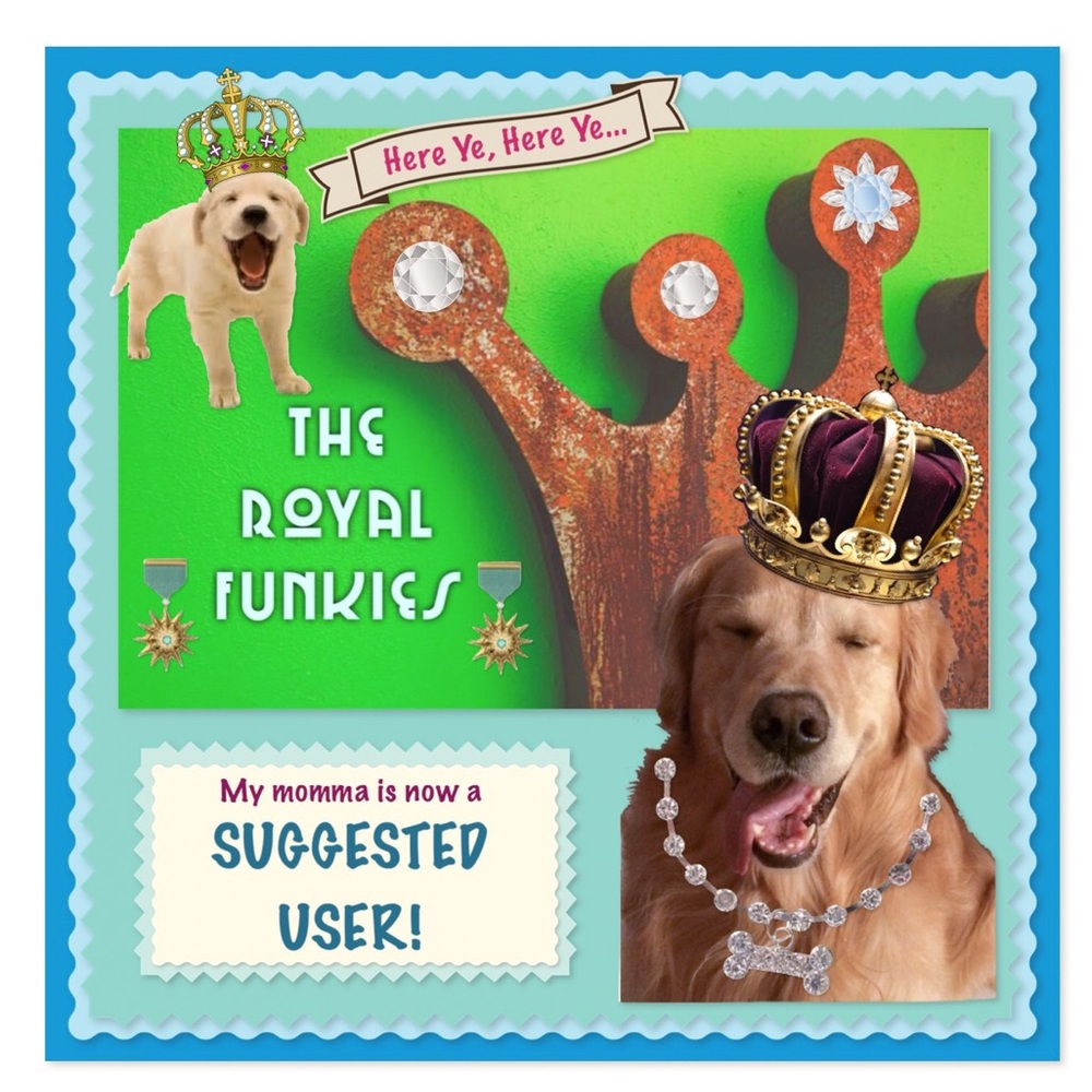 👑SUGGESTED USER!  Woop woop!