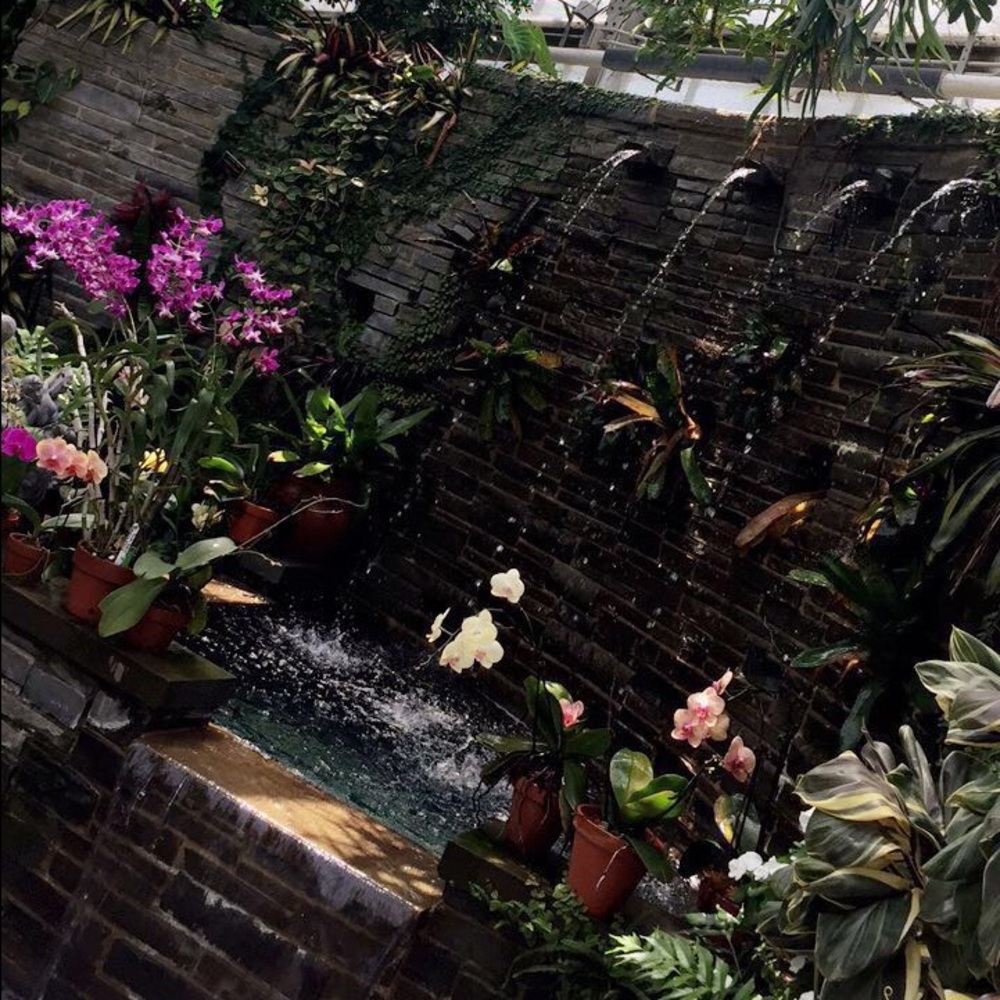 Meet your Posher, Julia