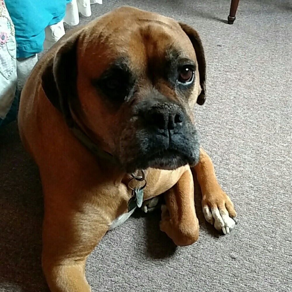 Meet your Posher, Denise