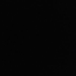 Meet your Posher, Tynnetta