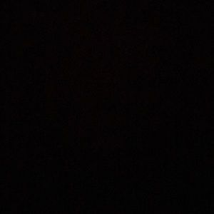 Meet your Posher, Luis