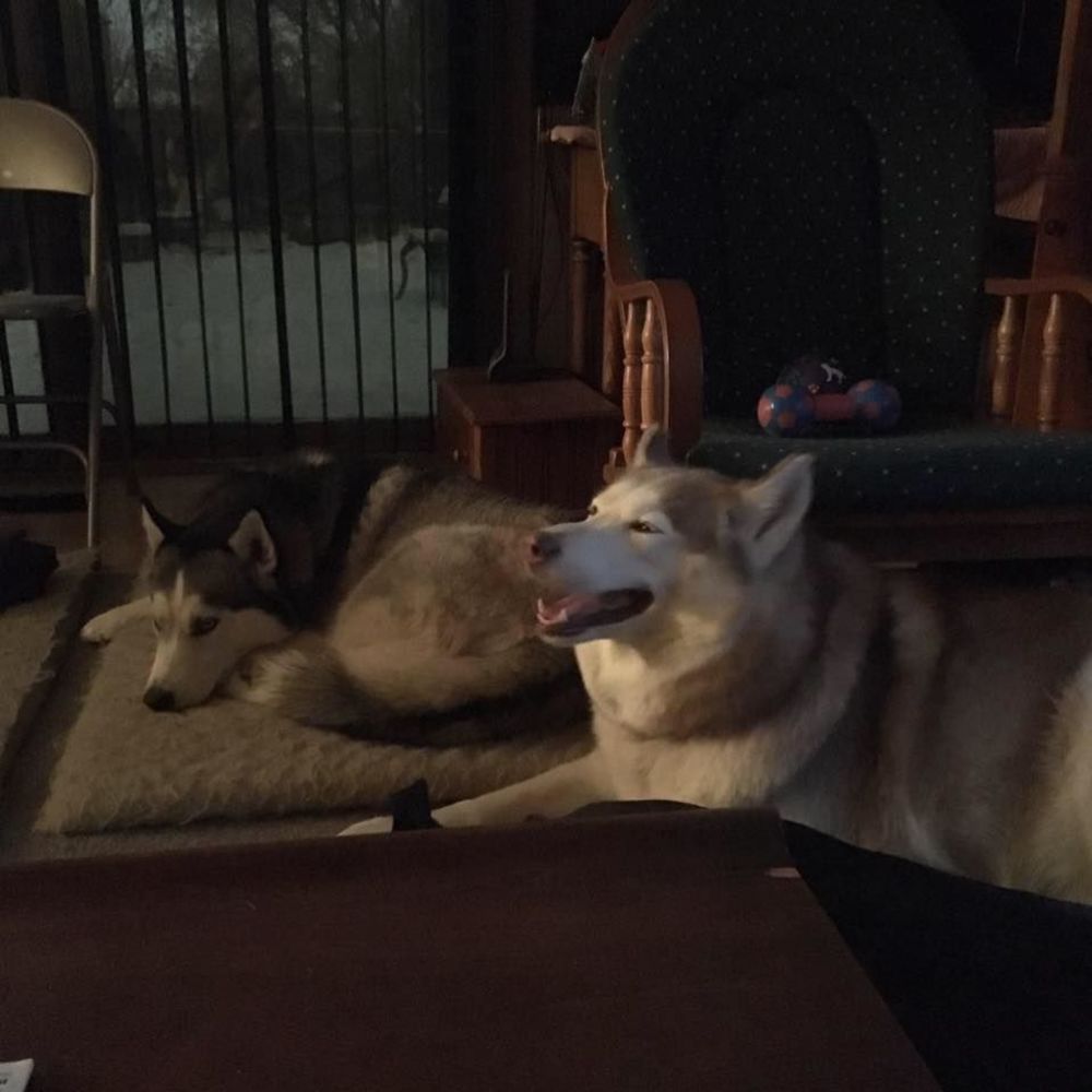 Meet your Posher, Lynn