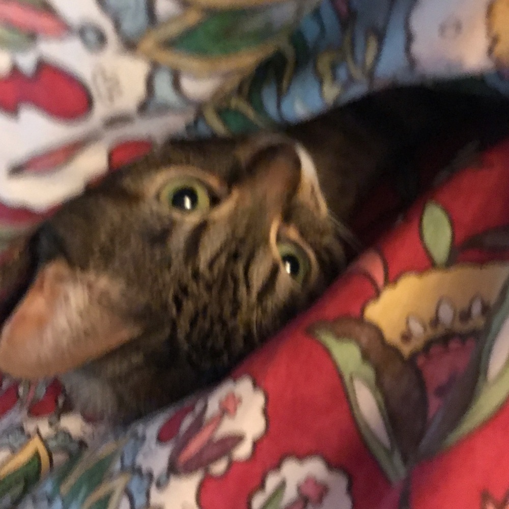 Meet your Posher, Erin