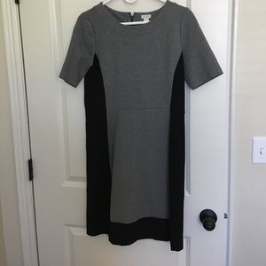 JCrew Fitted Dress