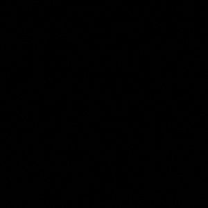 Meet your Posher, Destiny