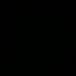 Meet your Posher, Yessiel