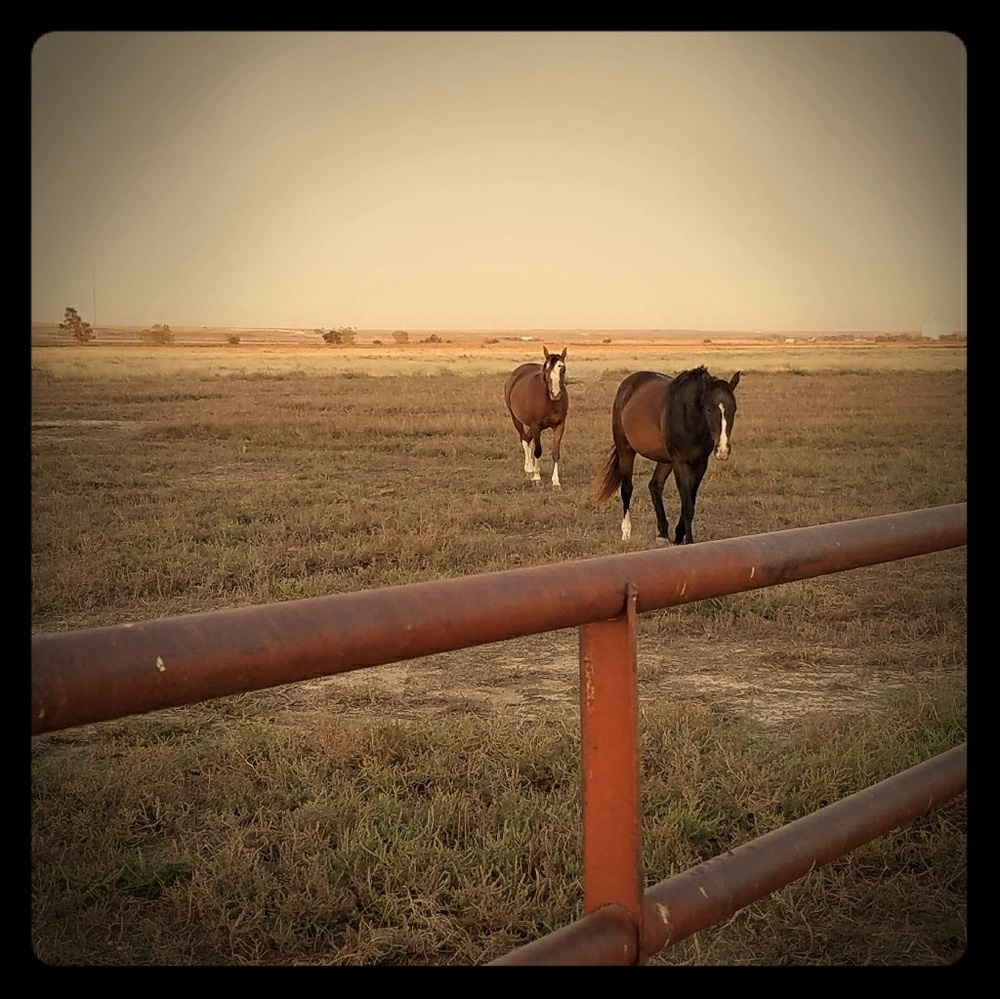 Meet your Posher, Myra