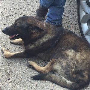 Meet your Posher, Ruby