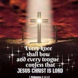 Meet your Posher, Merrill