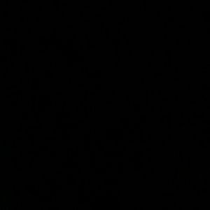 Meet your Posher, Joey