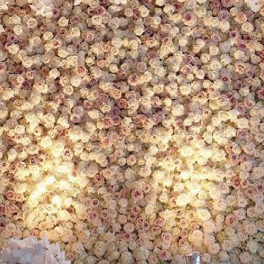 Meet your Posher, Suzy