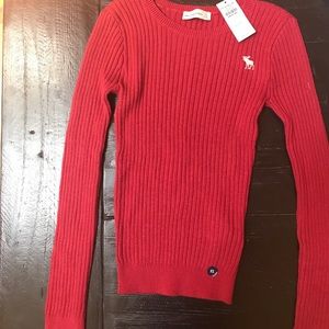 Abercrombie and Fitch pullover sweater