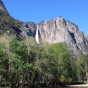 Meet your Posher, Josh