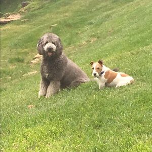 Meet your Posher, Janice