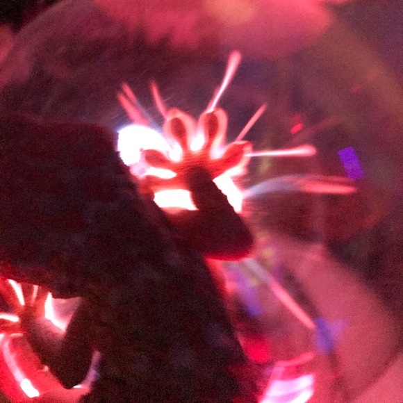 Meet your Posher, Ashley - Picture 2 of 8