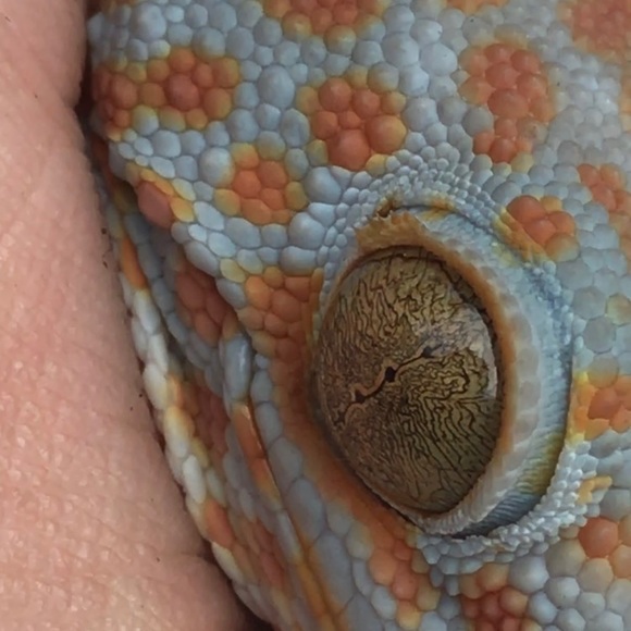 Meet your Posher, Ashley - Picture 3 of 8