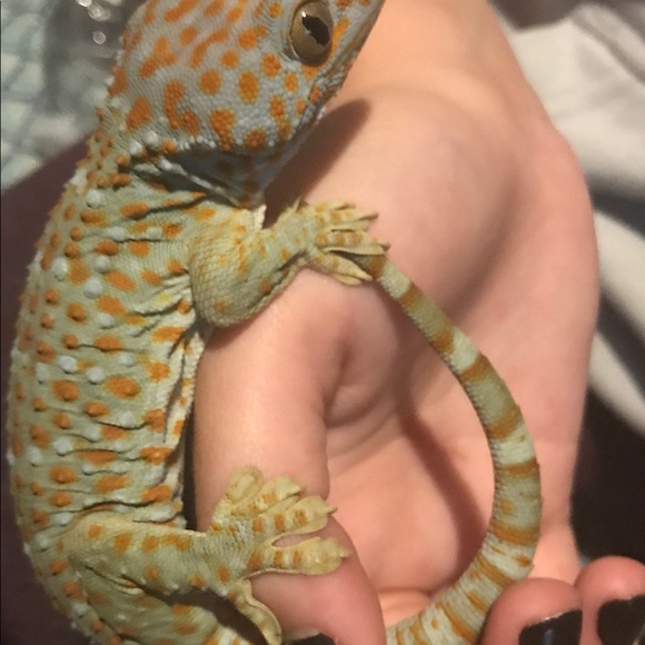 Meet your Posher, Ashley - Picture 4 of 8