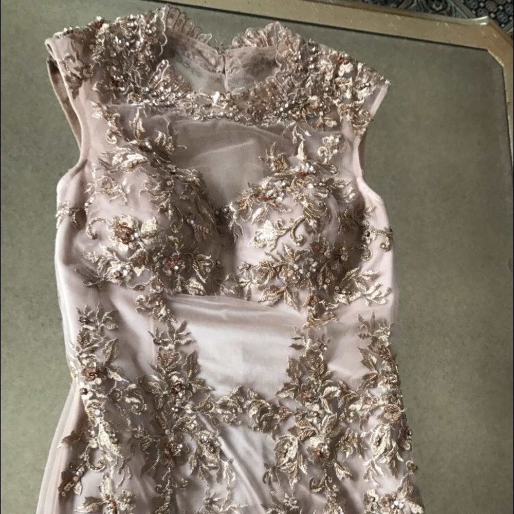 Atria Couture Blush Embellished Dress