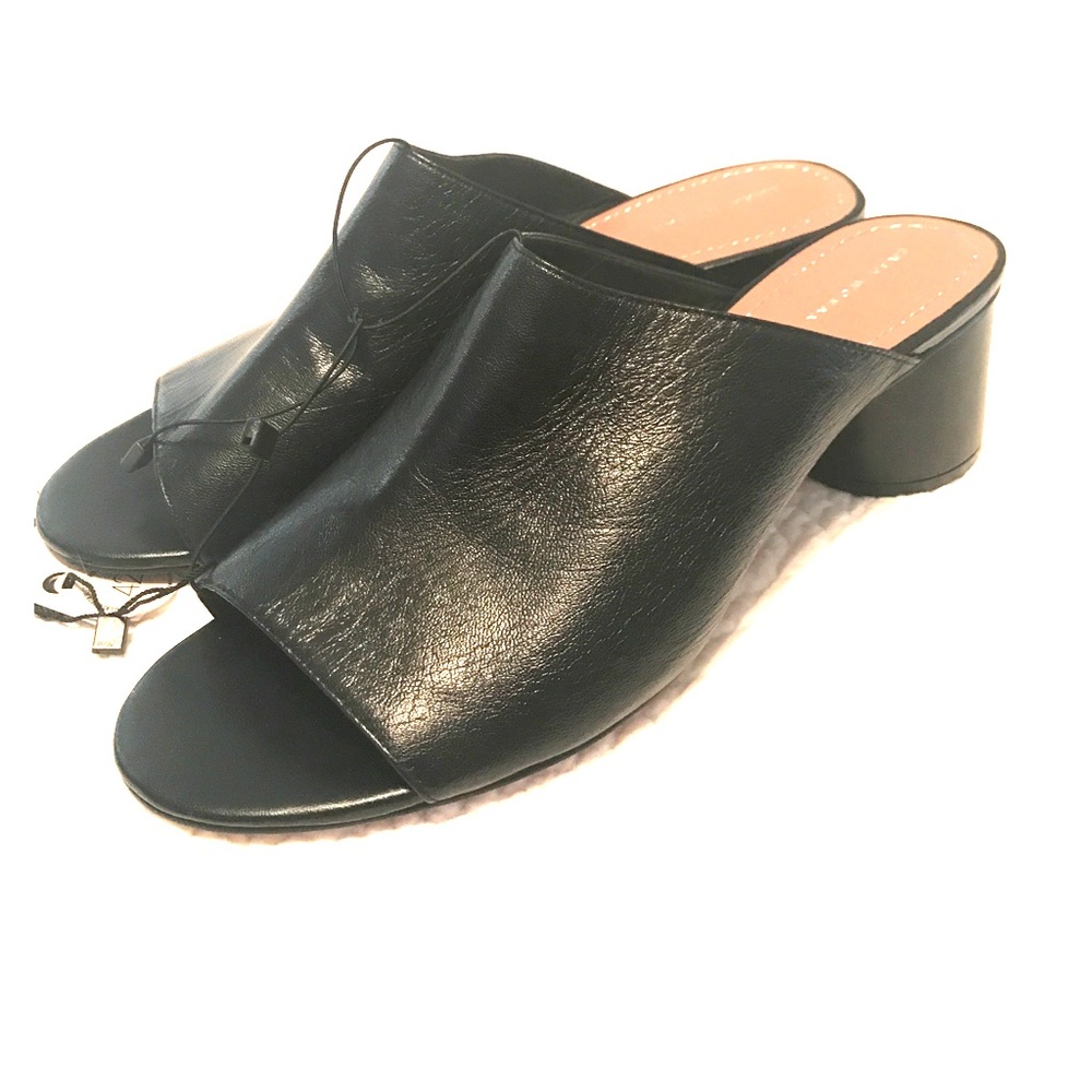 Zara Mules