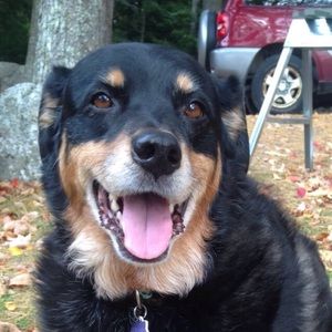 Meet your Posher, Molly