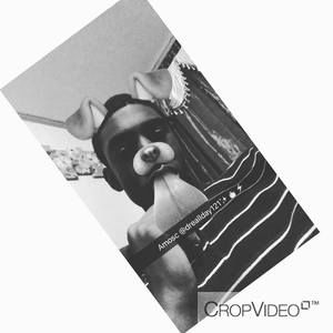 Meet your Posher, Deonte