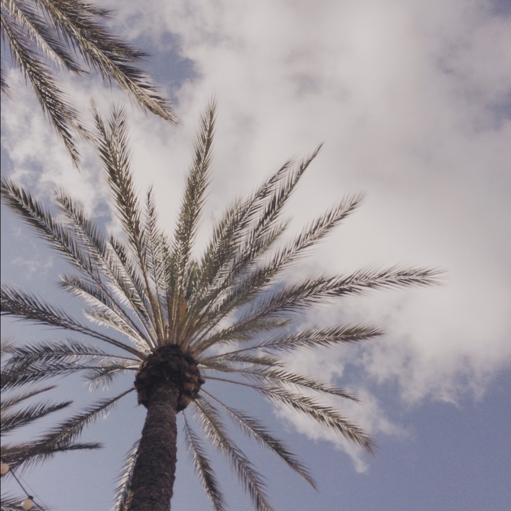 Meet your Posher, Jalissa