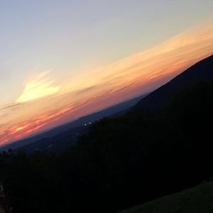 Meet your Posher, Daniella