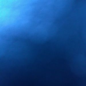 Meet your Posher, Lea