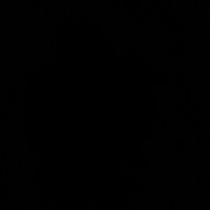 Meet your Posher, Margie