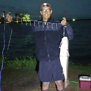 Meet your Posher, Robert