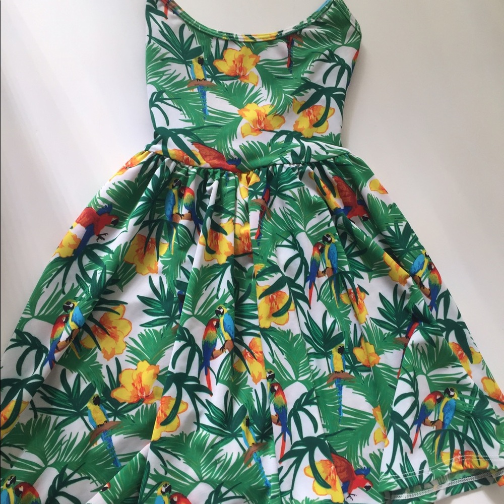 American Apparel skater dress
