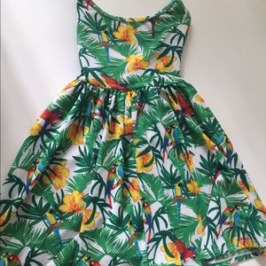 American Apparel skater dress