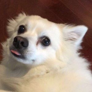 Meet your Posher, Veronica