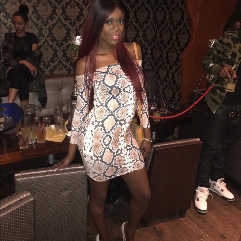 Snake Print Cotton Dress