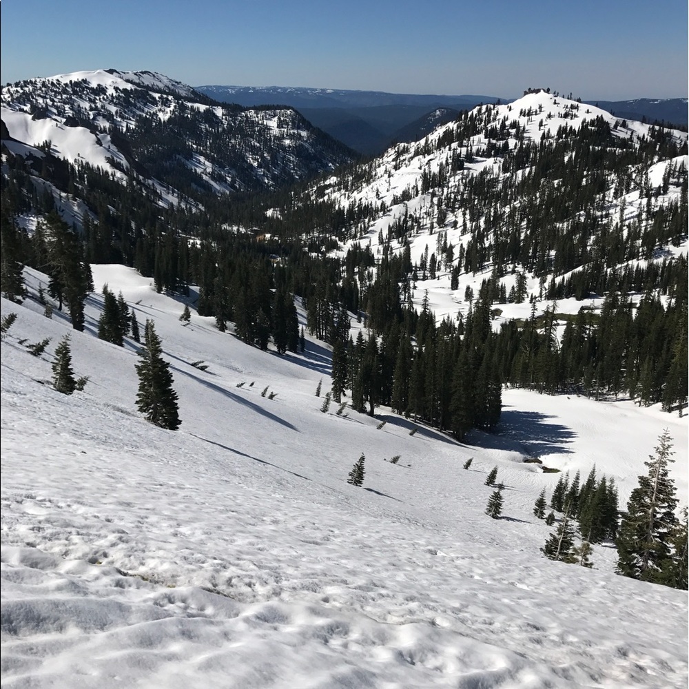 Meet your Posher, Mario