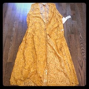 Mustard Gold Joy, Medium