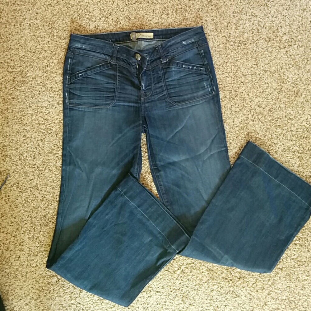 Level 99 flare jeans