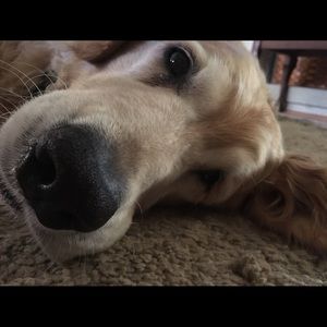 Meet your Posher, Lesa