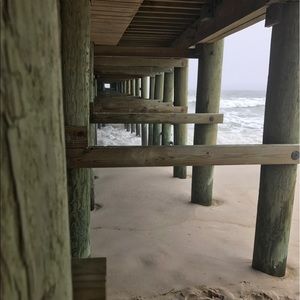 Meet your Posher, Jay