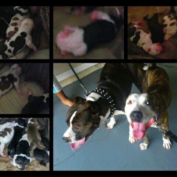 Meet your Posher, Richard - Picture 1 of 1