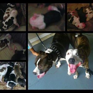 Meet your Posher, Richard