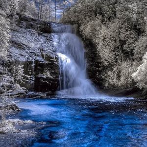 Meet your Posher, Brandi