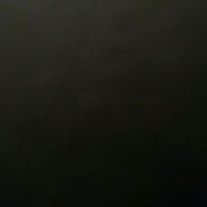 Meet your Posher, Breeeee