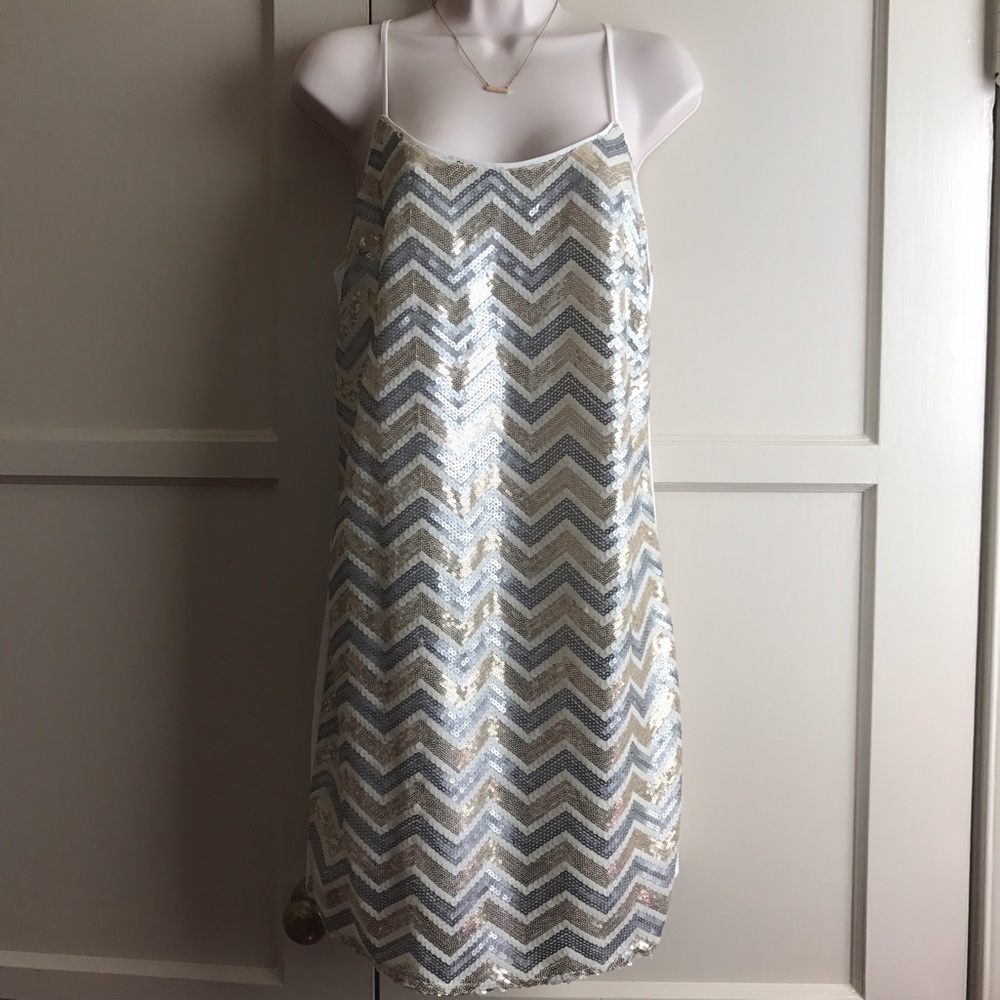 Forever 21 Sequin Gold and Silver Dress