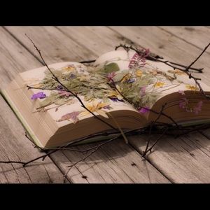 Meet your Posher, Joanne