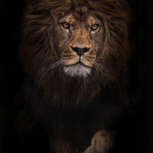 Meet your Posher, Skreaam